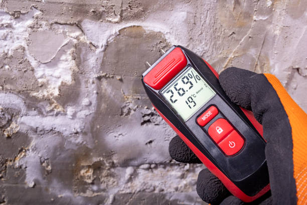 Best Crawl Space Mold Removal  in Ogden, NC