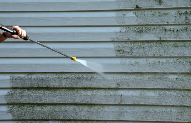 Best Attic Mold Removal  in Ogden, NC