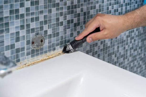 Best Mold Removal Near Me  in Ogden, NC